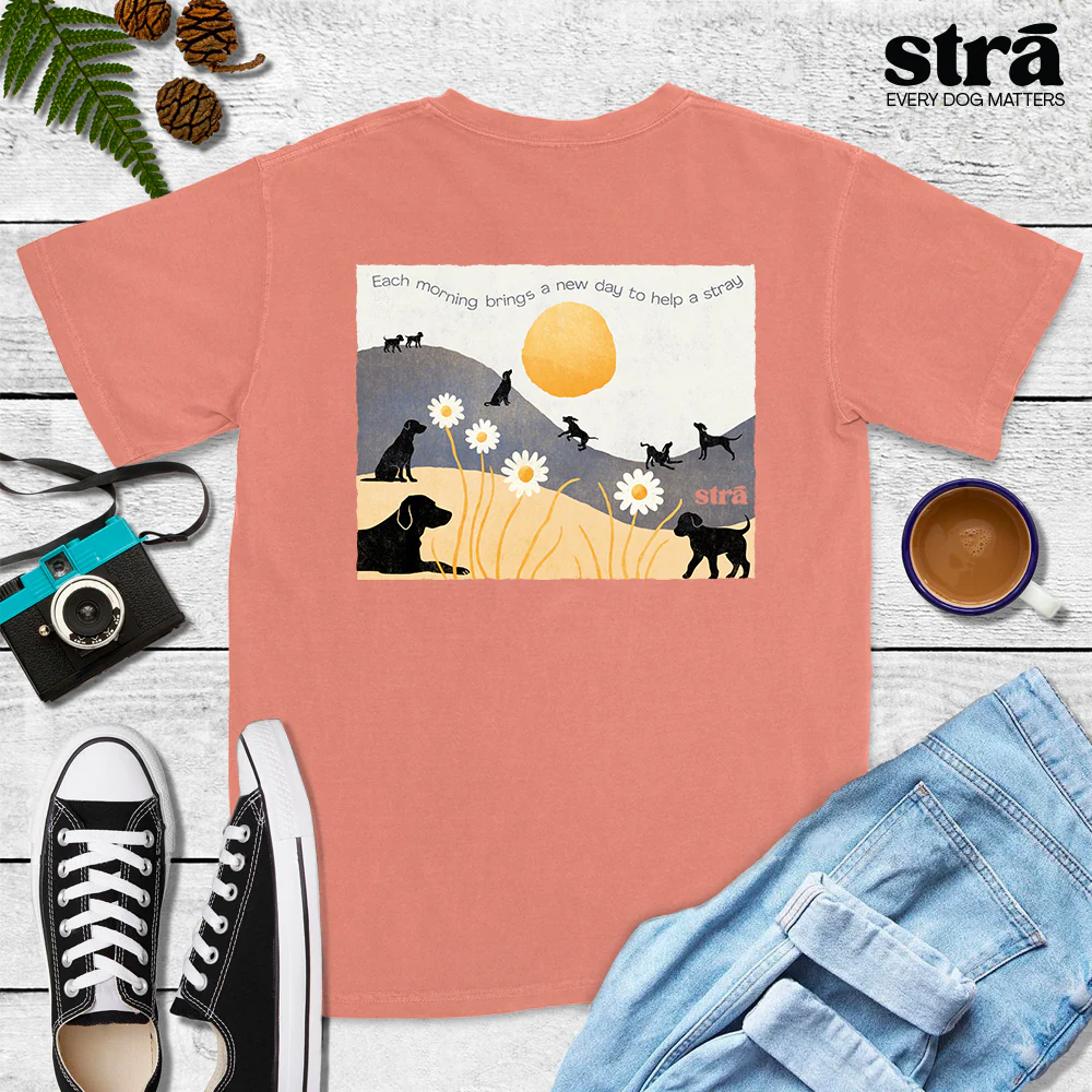 Each Morning Brings A New Day To Save A Stray Tee (Violet, Blue Jean, Terracotta, Berry) - Image 5