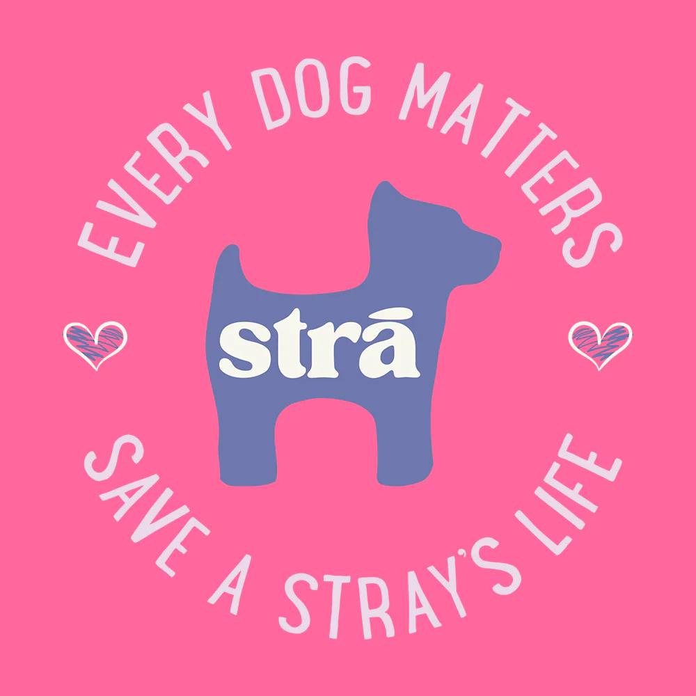 Every Dog Matters Save A Stray's Life Tee (Lagoon Blue, Terracotta, Violet, Crunchberry) - Image 4