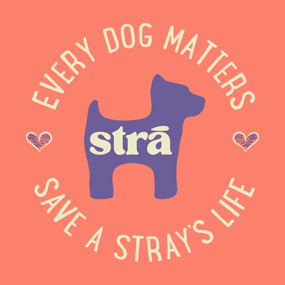 Every Dog Matters Save A Stray's Life Tee (Lagoon Blue, Terracotta, Violet, Crunchberry) - Image 6