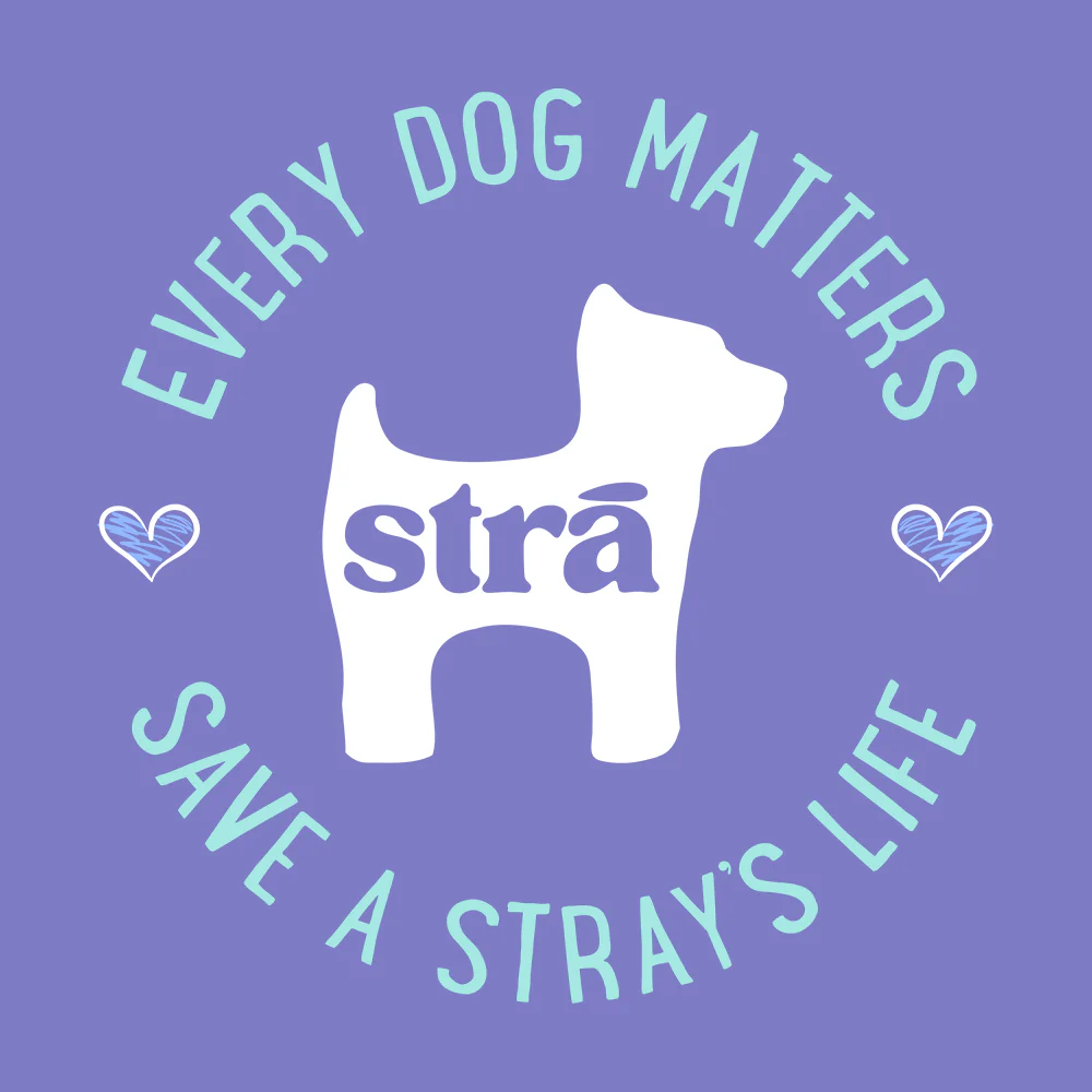 Every Dog Matters Save A Stray's Life Tee (Lagoon Blue, Terracotta, Violet, Crunchberry) - Image 8