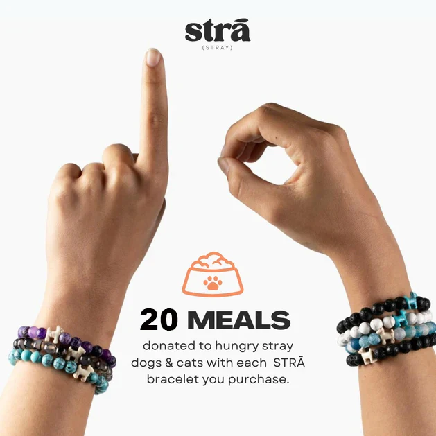 Stack Set-Rainbow Bridge Memorial Dog Bracelets with Natural Stone Rainbow & Howilte & Crystal Stone - Image 4