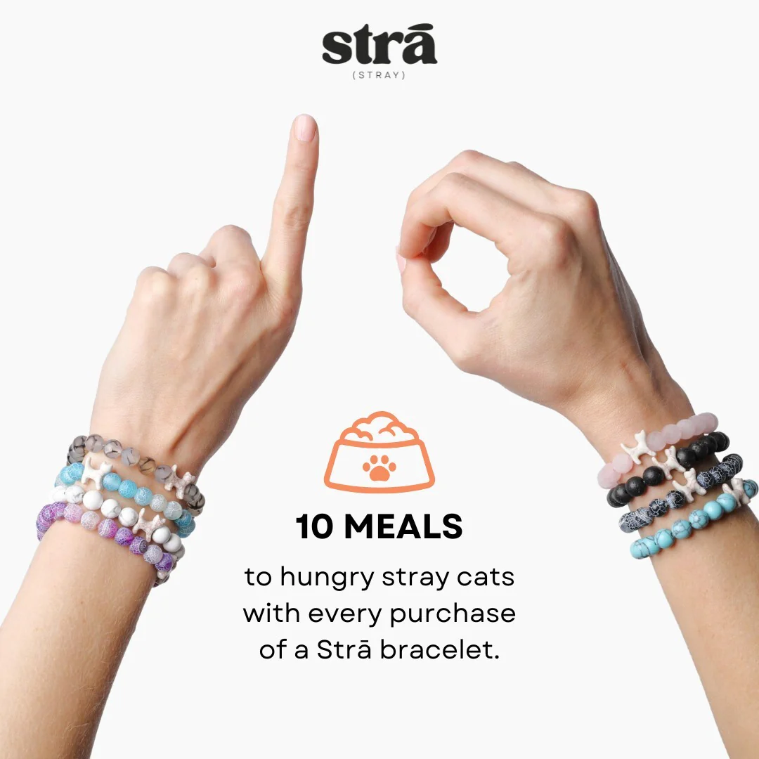 STRĀ Cat Beaded Bracelet - Image 22