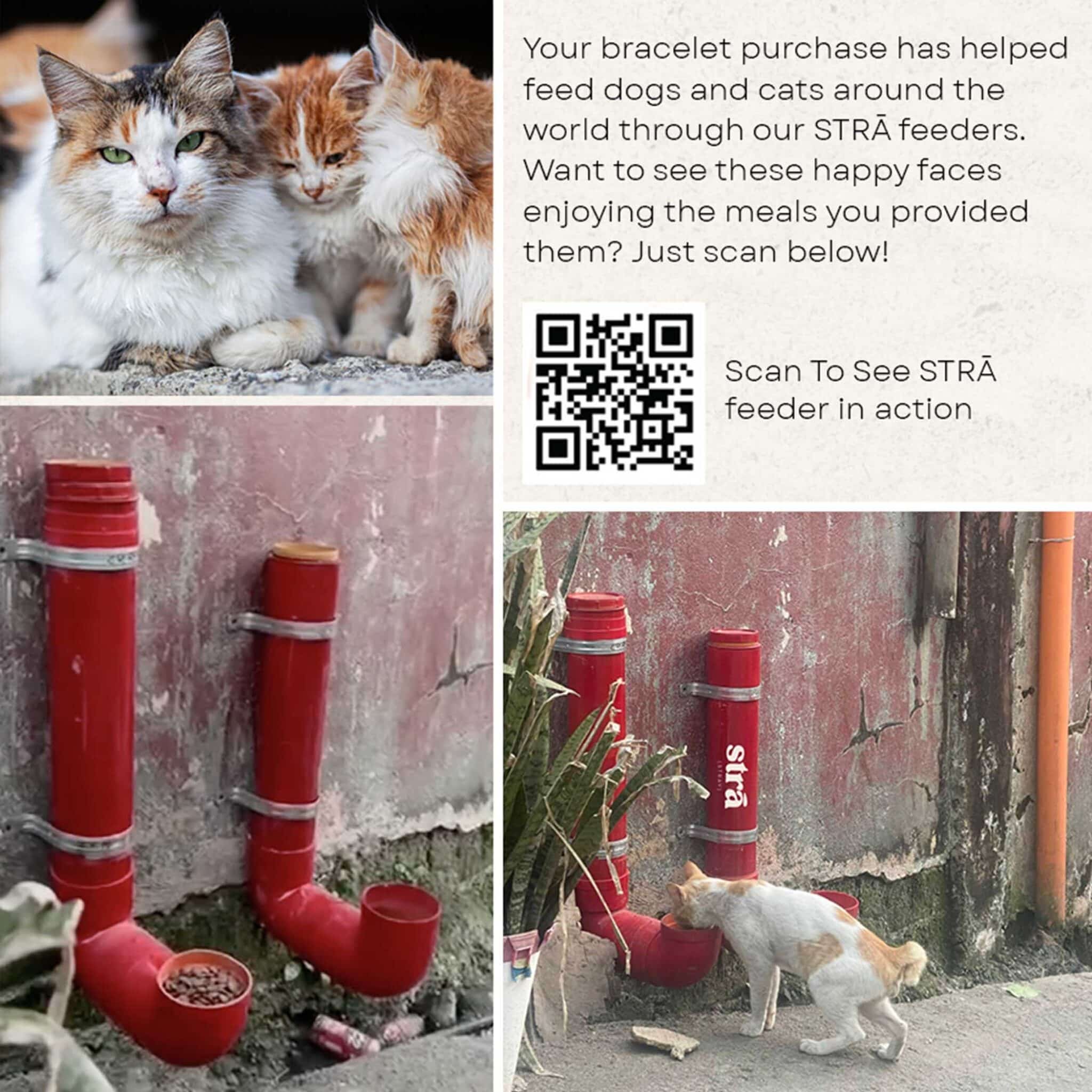 STRĀ Cat Beaded Bracelet - Image 27