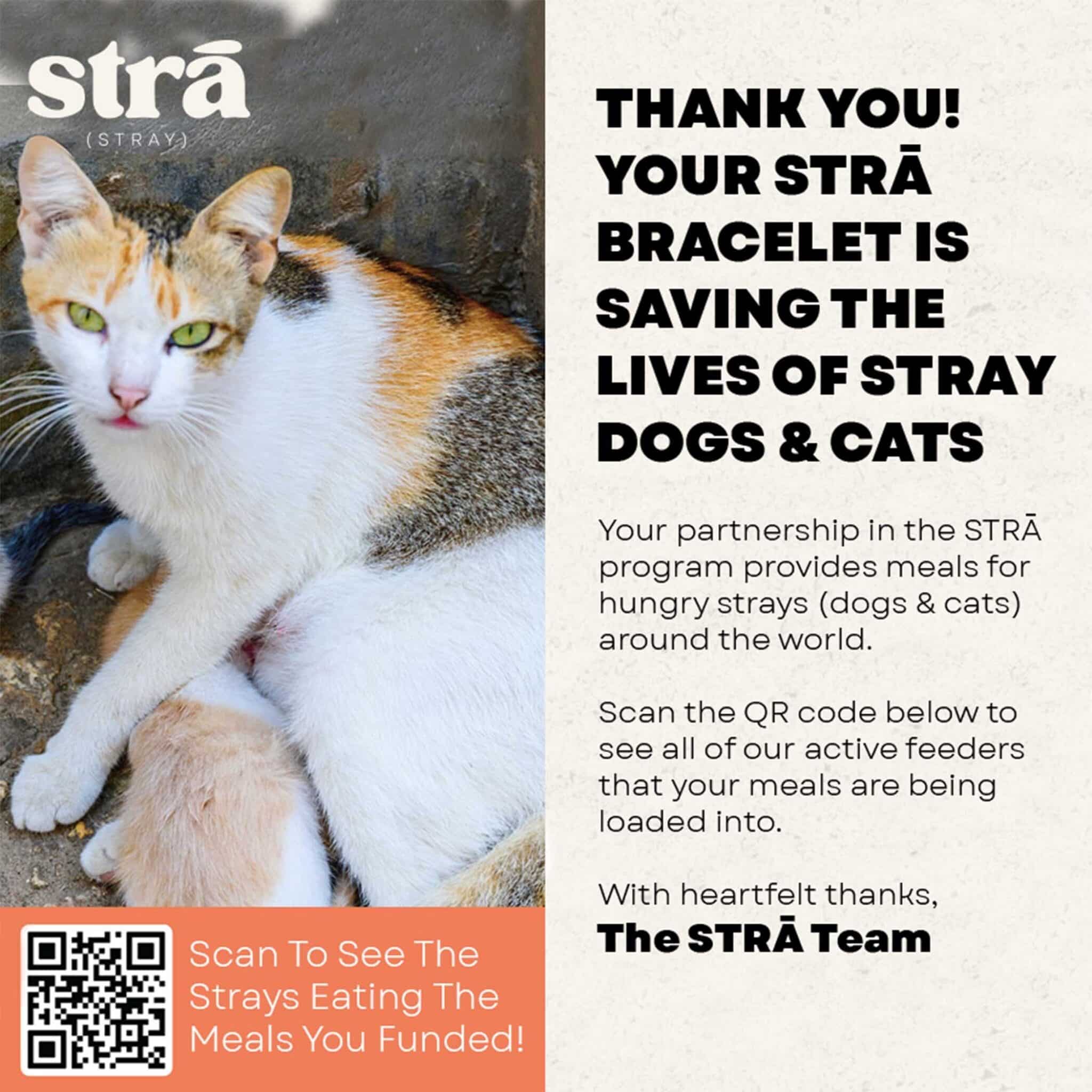 STRĀ Cat Beaded Bracelet - Image 28