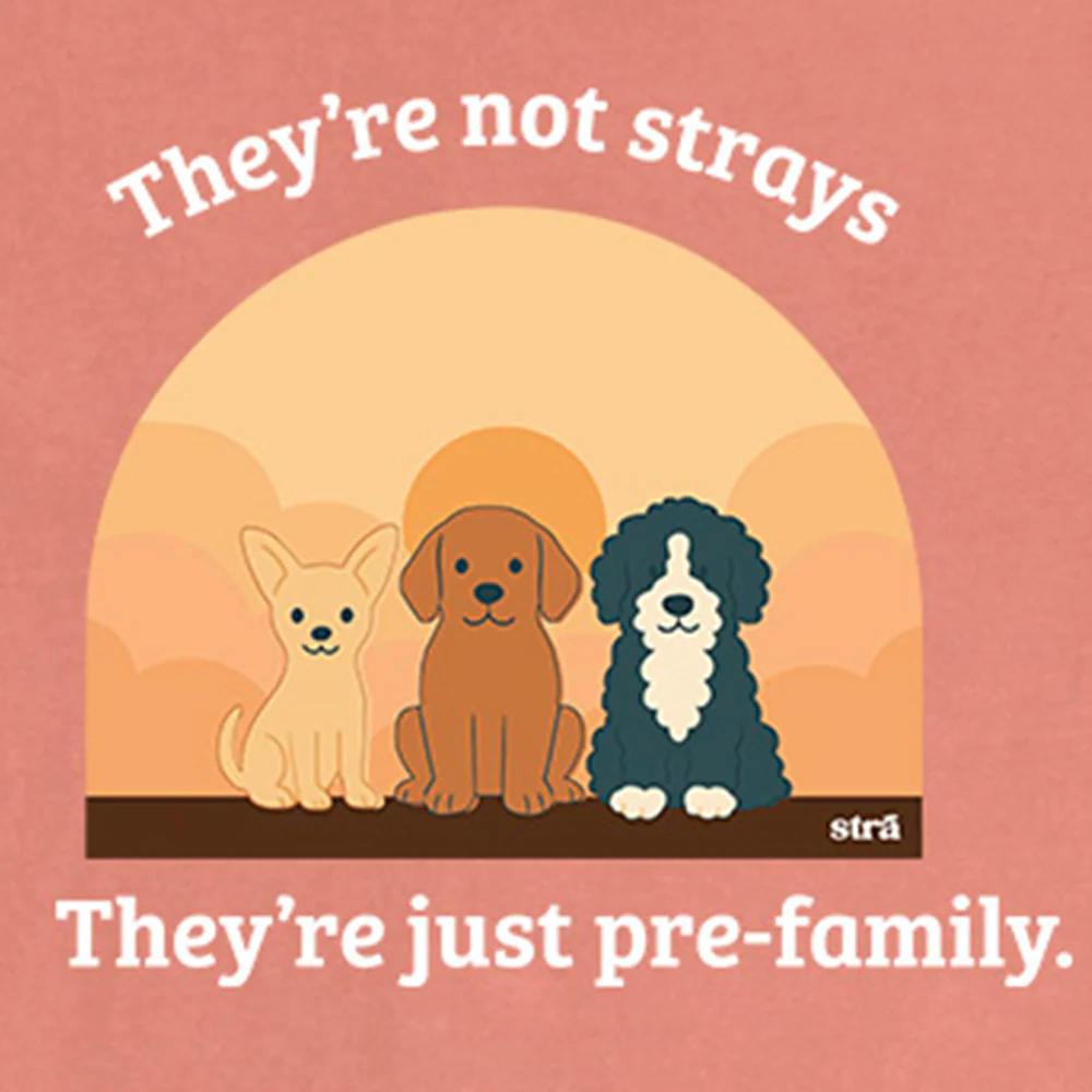 They're Not Strays, They're Just Pre-Family (Blue Jean, Terracotta, Ivory, Seafoam) - Image 4