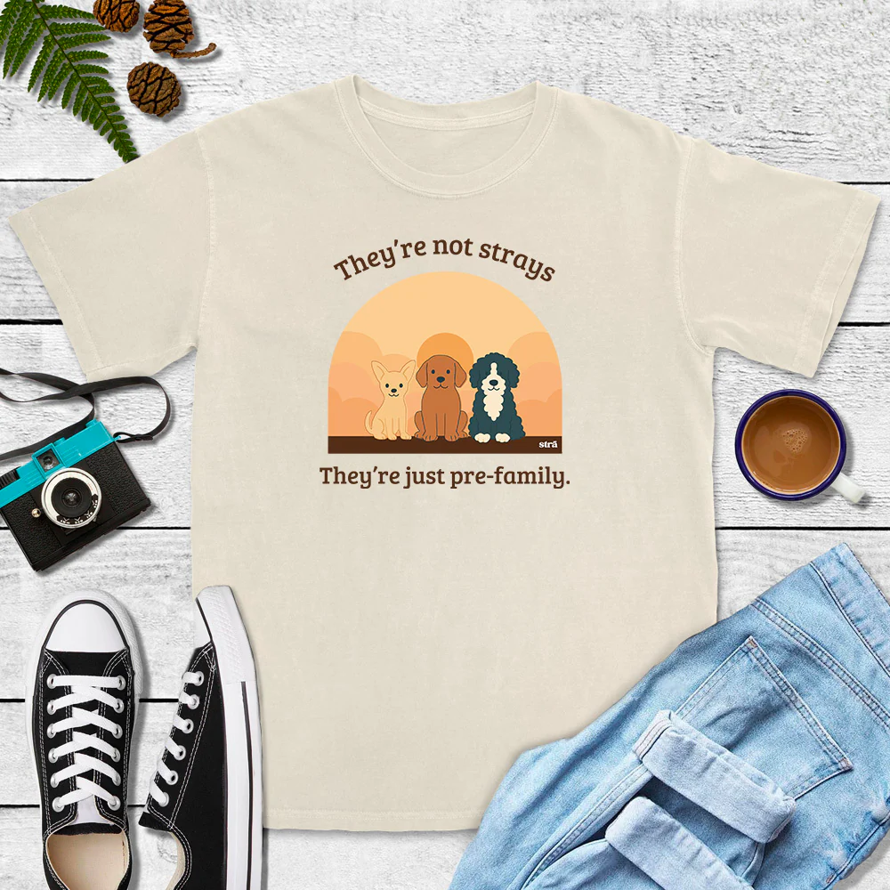 They're Not Strays, They're Just Pre-Family (Blue Jean, Terracotta, Ivory, Seafoam) - Image 5