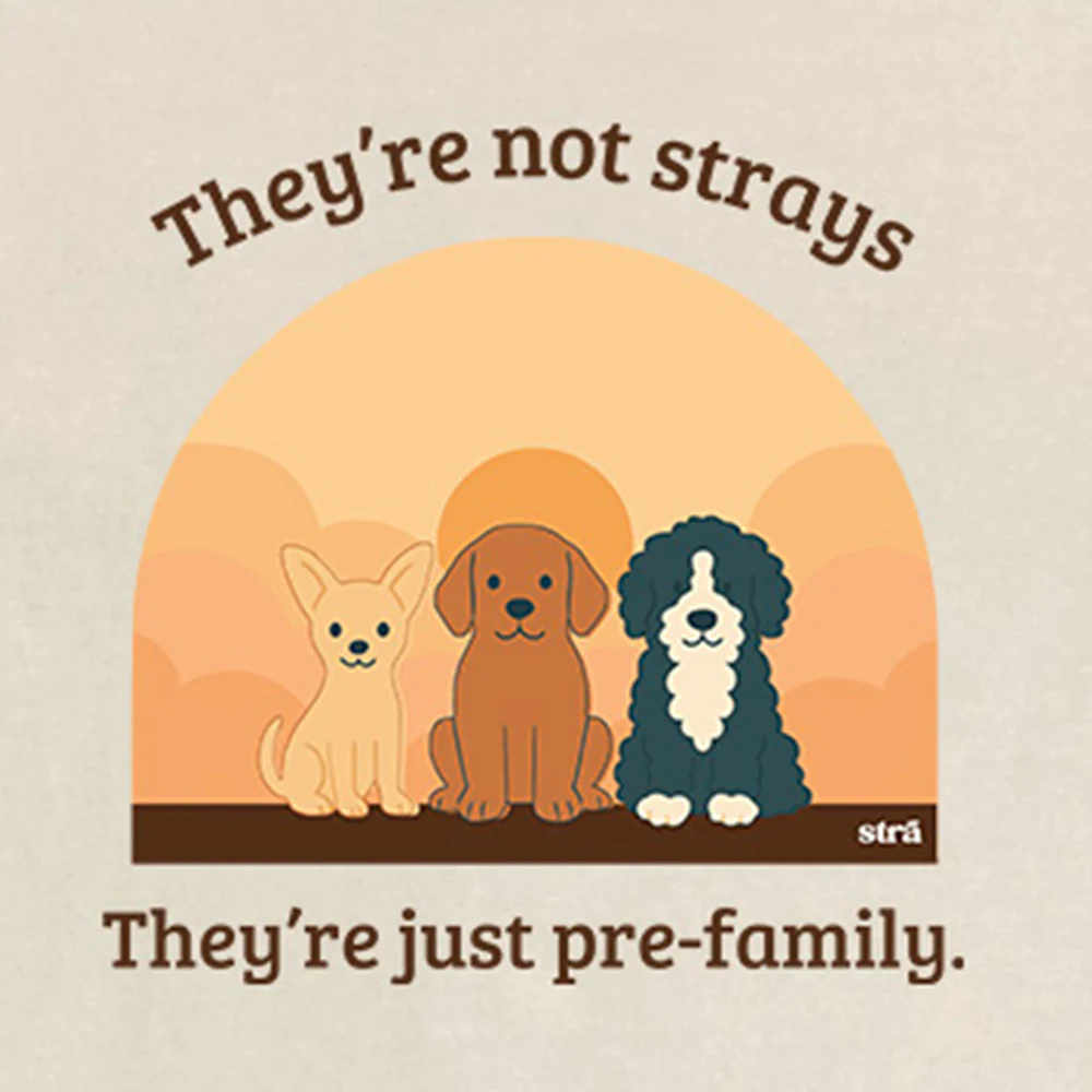 They're Not Strays, They're Just Pre-Family (Blue Jean, Terracotta, Ivory, Seafoam) - Image 6