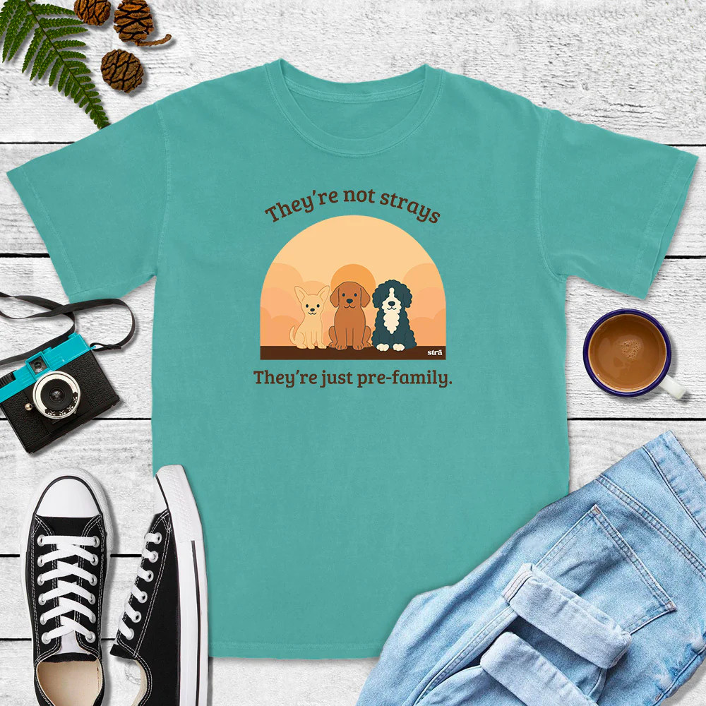 They're Not Strays, They're Just Pre-Family (Blue Jean, Terracotta, Ivory, Seafoam) - Image 7