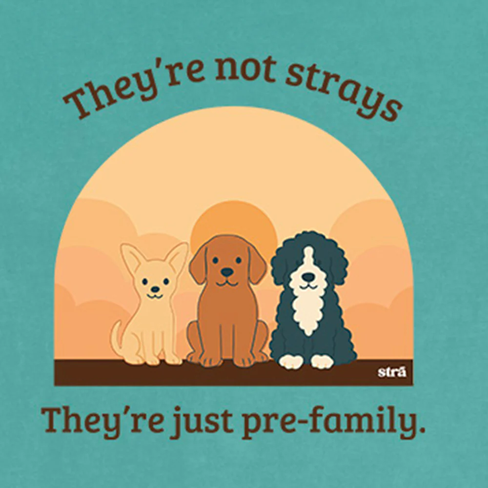 They're Not Strays, They're Just Pre-Family (Blue Jean, Terracotta, Ivory, Seafoam) - Image 8