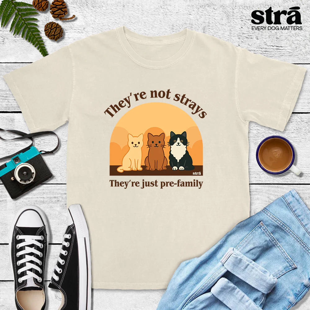 They're Not Strays, They're Just Pre Family Tee - Cats (Blue Jean, Ivory, Terracotta, Seafoam) - Image 3