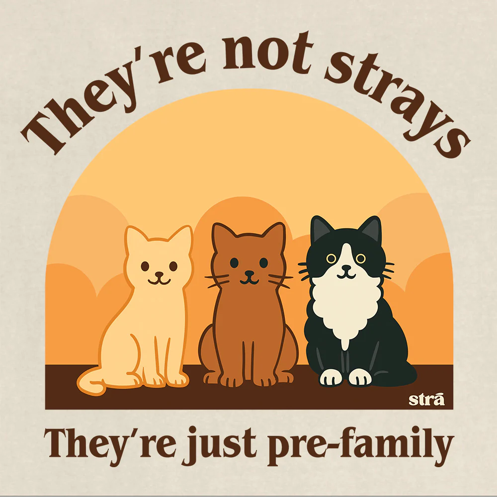 They're Not Strays, They're Just Pre Family Tee - Cats (Blue Jean, Ivory, Terracotta, Seafoam) - Image 4