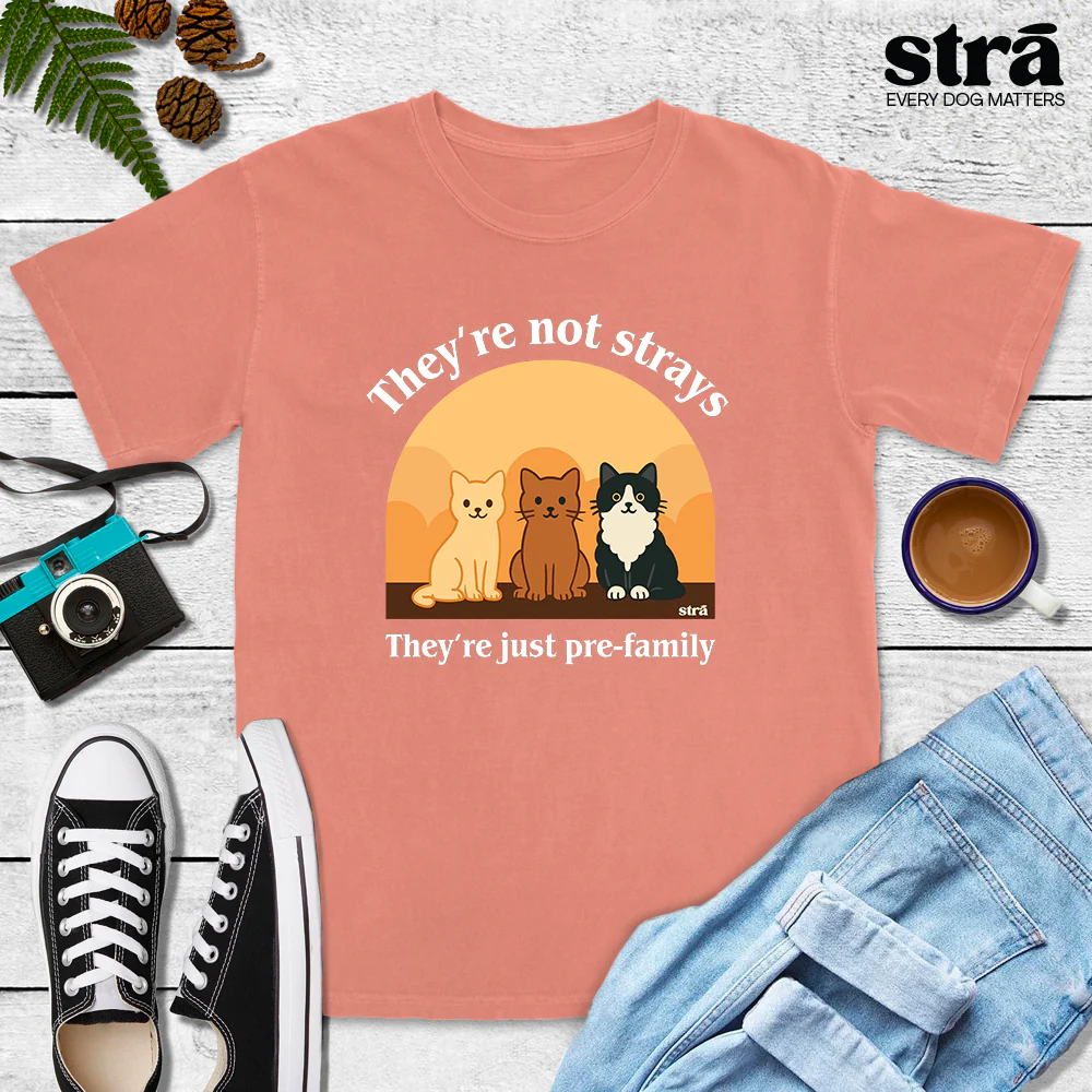 They're Not Strays, They're Just Pre Family Tee - Cats (Blue Jean, Ivory, Terracotta, Seafoam) - Image 5