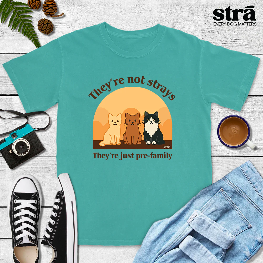 They're Not Strays, They're Just Pre Family Tee - Cats (Blue Jean, Ivory, Terracotta, Seafoam) - Image 7