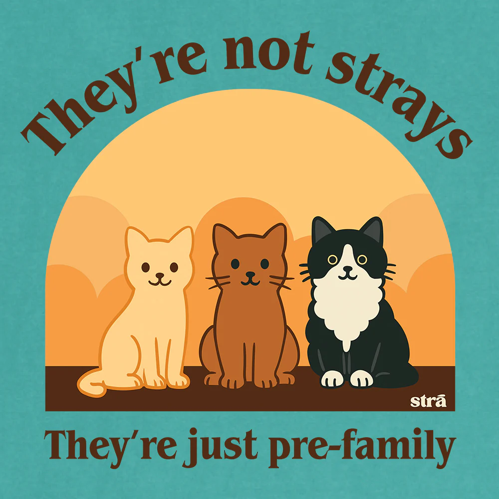 They're Not Strays, They're Just Pre Family Tee - Cats (Blue Jean, Ivory, Terracotta, Seafoam) - Image 8