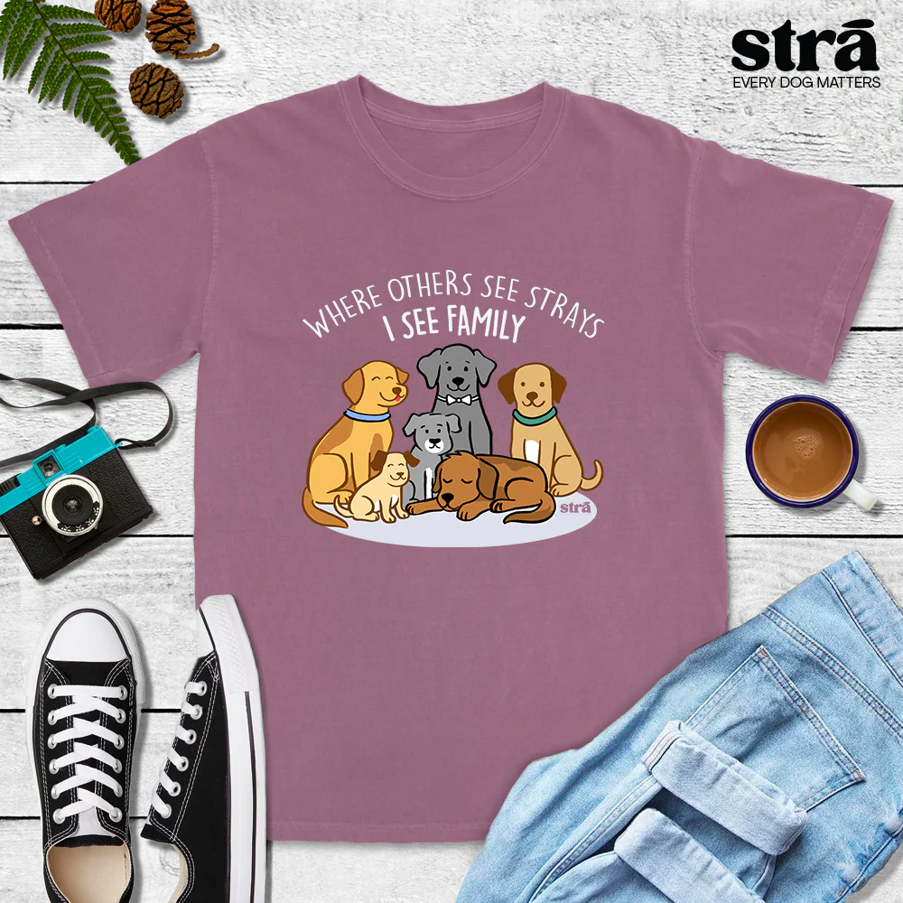 Where Others See Strays, I See Family Tee (Terracotta, Berry, Blue Jean, Ivory) - Image 3