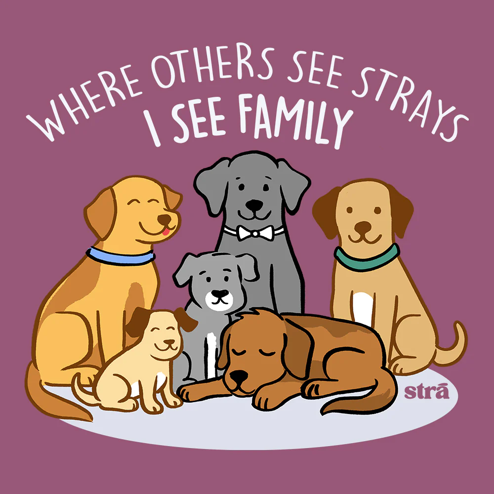 Where Others See Strays, I See Family Tee (Terracotta, Berry, Blue Jean, Ivory) - Image 4