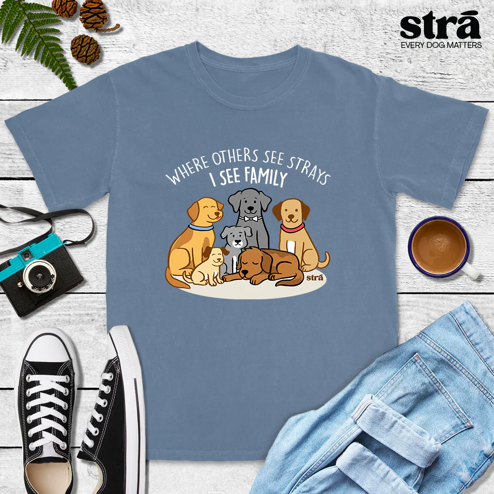 Where Others See Strays, I See Family Tee (Terracotta, Berry, Blue Jean, Ivory) - Image 5