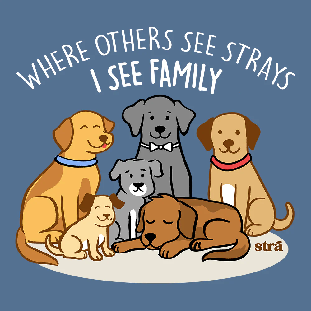 Where Others See Strays, I See Family Tee (Terracotta, Berry, Blue Jean, Ivory) - Image 6