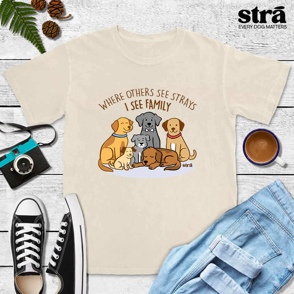 Where Others See Strays, I See Family Tee (Terracotta, Berry, Blue Jean, Ivory) - Image 7