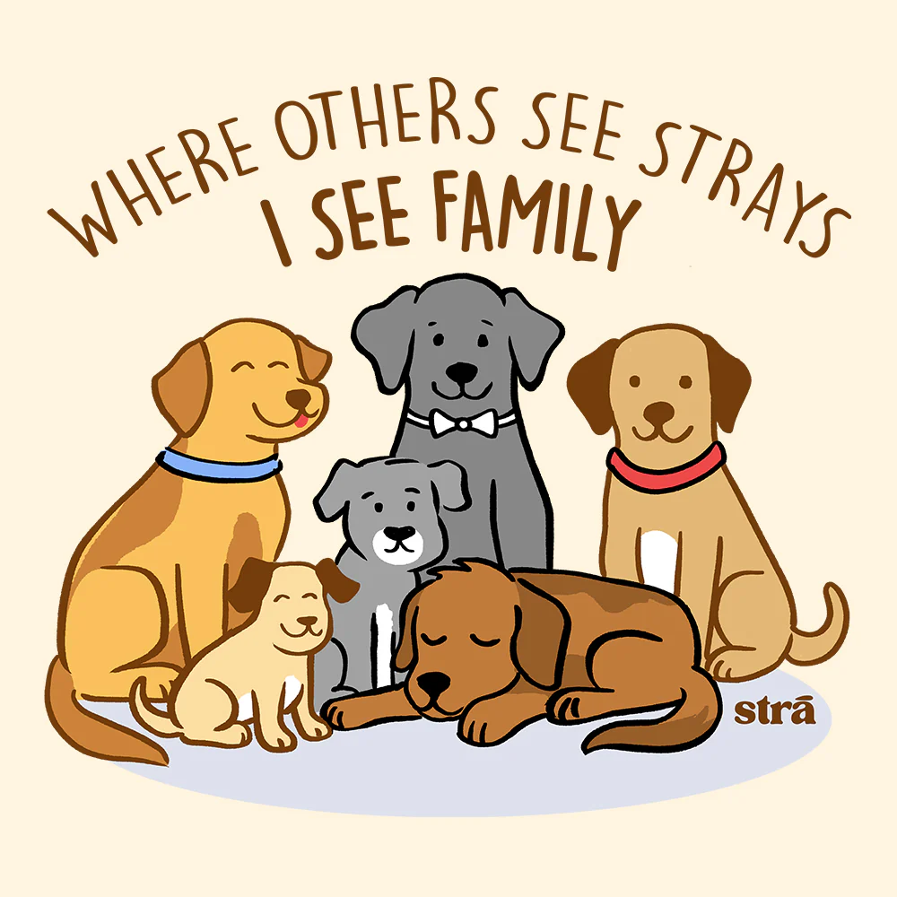 Where Others See Strays, I See Family Tee (Terracotta, Berry, Blue Jean, Ivory) - Image 8