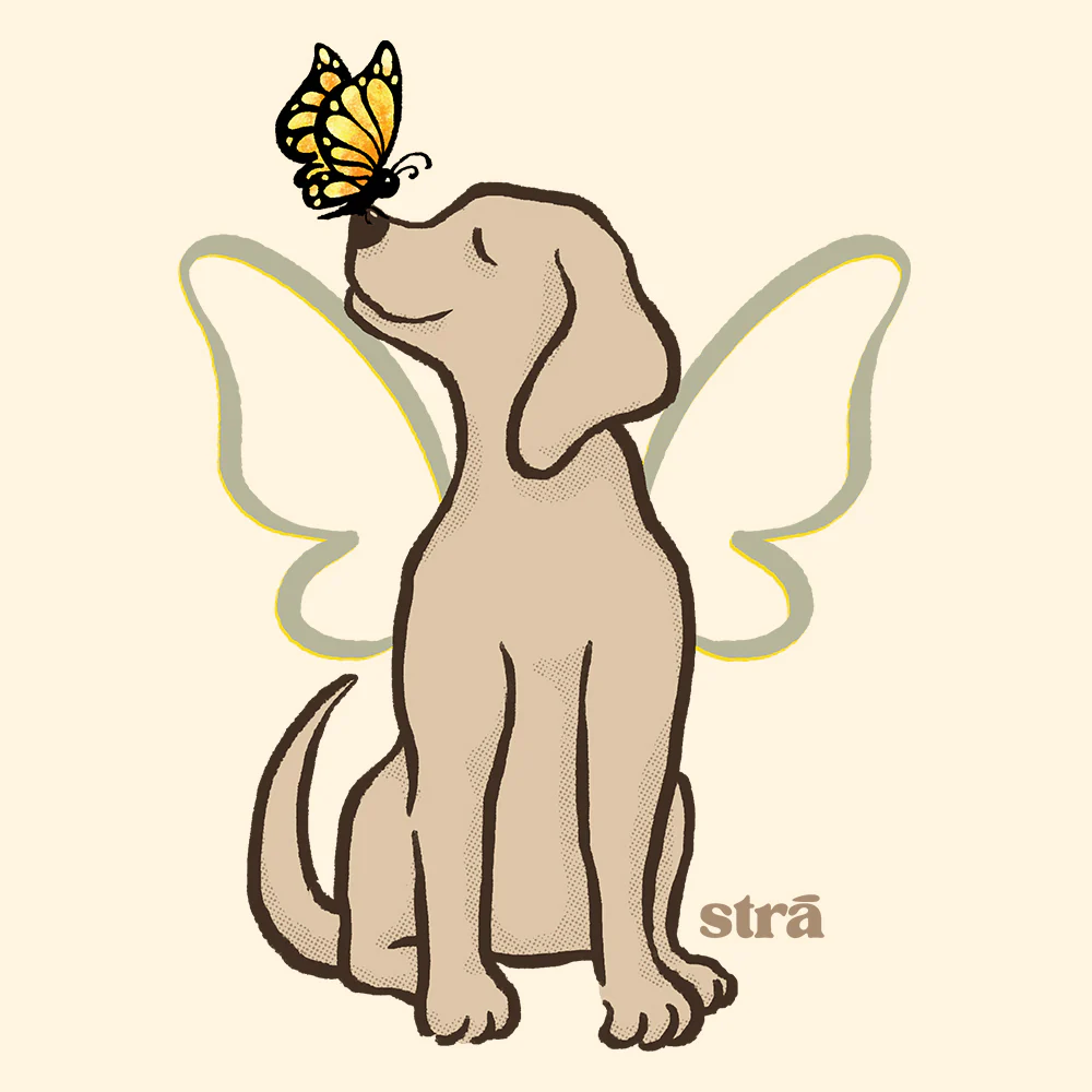 Wings Of Hope Dog & Butterfly Tee (Sea Foam, Blue Jean, Terracotta, Ivory) - Image 4