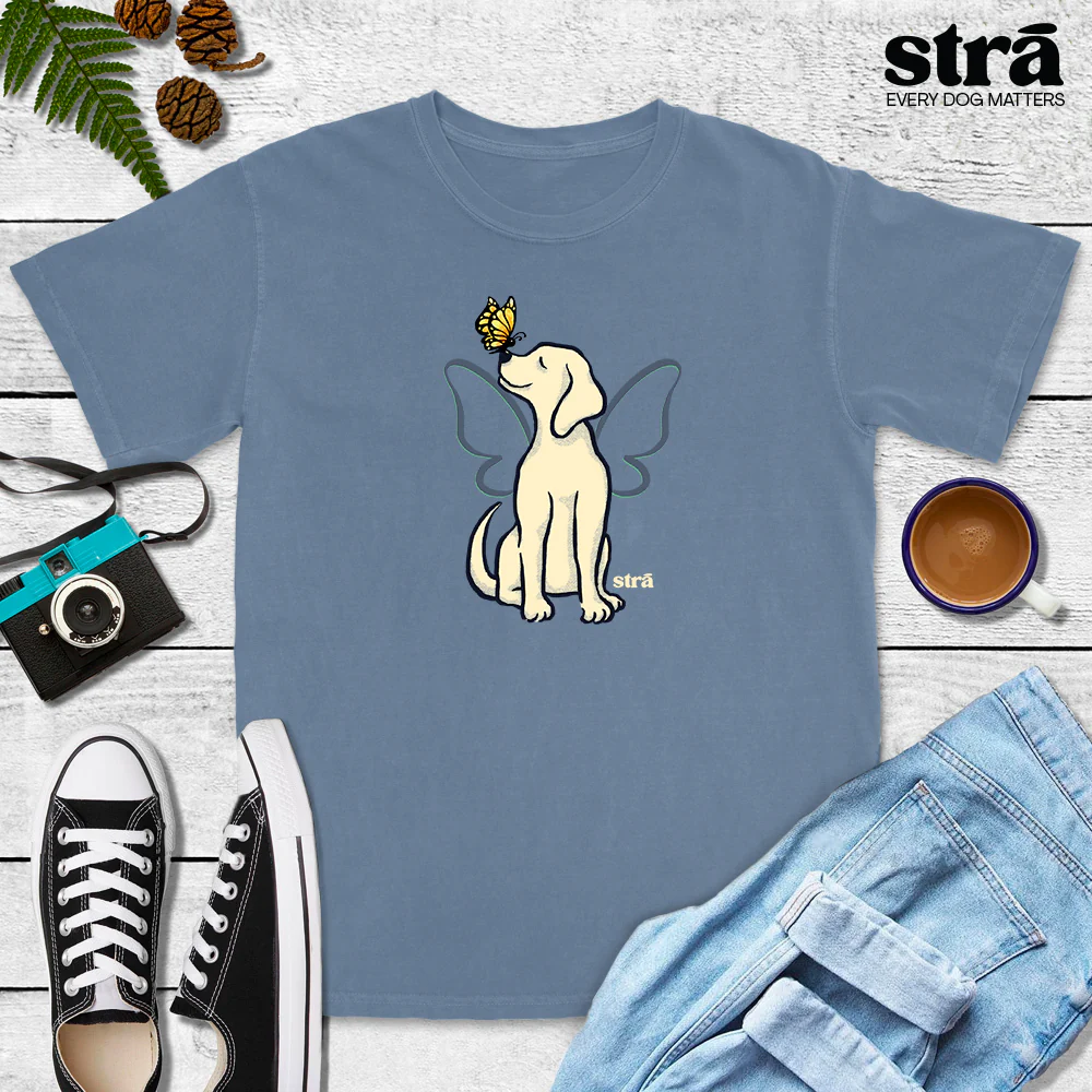 Wings Of Hope Dog & Butterfly Tee (Sea Foam, Blue Jean, Terracotta, Ivory) - Image 5