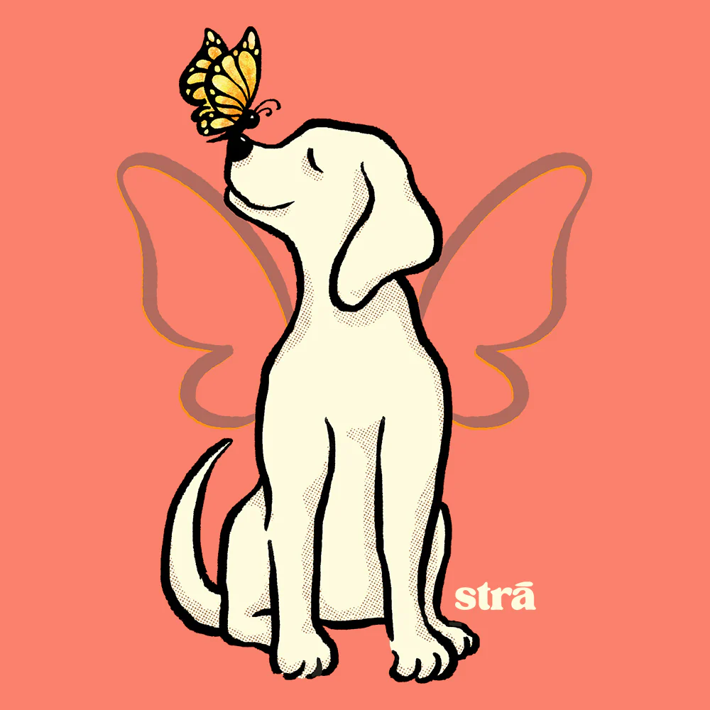 Wings Of Hope Dog & Butterfly Tee (Sea Foam, Blue Jean, Terracotta, Ivory) - Image 8